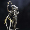 Фігурка Alien Buddha Jagged War Alien Чужий Ізоляція (28см)