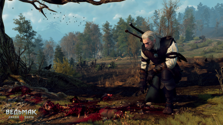 Ведьмак 3: Дикая охота Коллекционное издание (Xbox One)