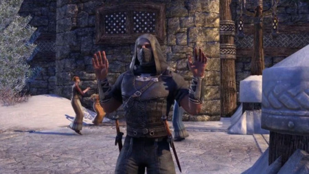 The Elder Scroll Online: Tamriel Unlimited (PS5)