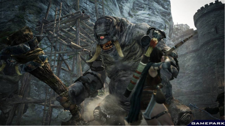 Dragon's Dogma   (Xbox 360)