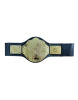 Пояс чемпіона WWE World Heavyweight Wrestling (125 см)