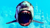 Maneater (PS5)