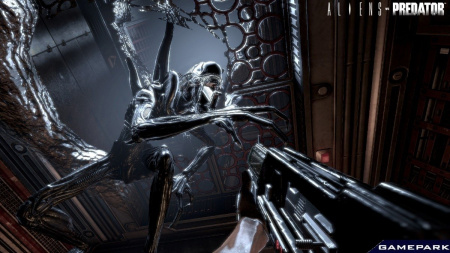 Aliens vs Predator (PS3)