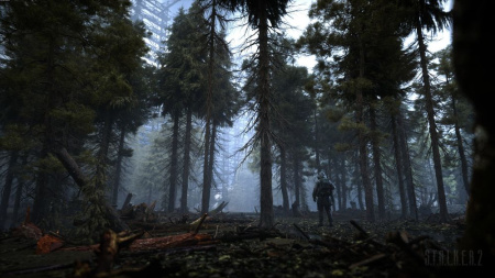 S.T.A.L.K.E.R 2 (PS5)
