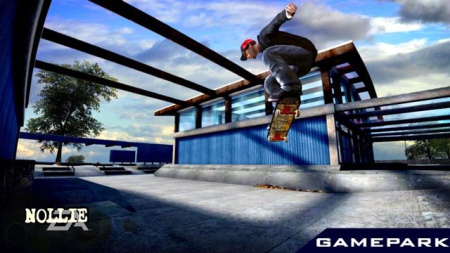 Skate (PS3)