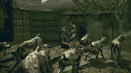 Resident Evil 5 (PS3)