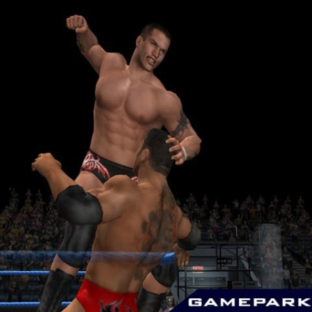 WWE Smackdown! vs. Raw 2007 (PS2)