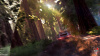 V-Rally 4 Стандартное издание (PS4)