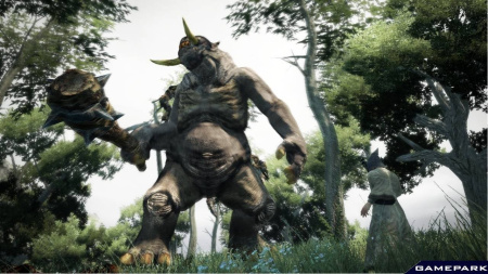 Dragon's Dogma (PS3)