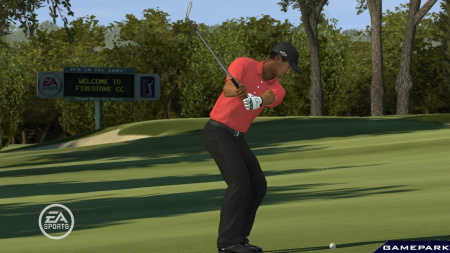 Tiger Woods PGA Tour 09 (PS3)