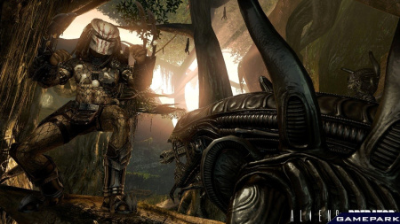 Aliens vs Predator (PS3)