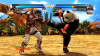 Fighting Edition (PS3)