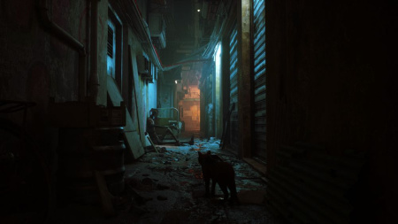 Stray (PS5)