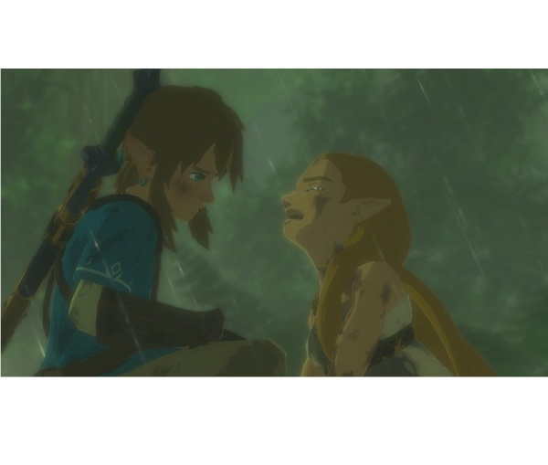 The Legend of Zelda: Breath of the Wild Ограниченное издание (Switch)