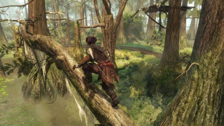 Assassin’s Creed III. Обновленная версия (Nintendo Switch)