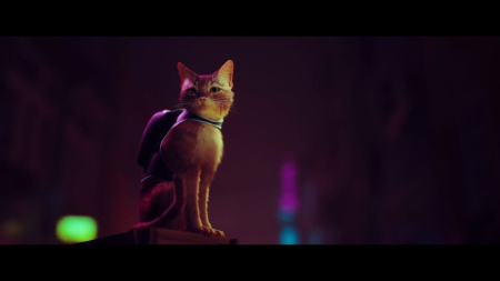 Stray (PS5)