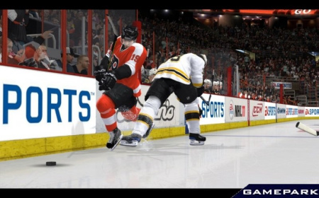 NHL 13 (PS3)