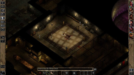 Baldur's Gate: Enhanced Edition и Baldur’s Gate 2: Enhanced Edition. Коллекционное издание (Nintendo Switch)