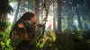 Horizon Zero Dawn (PS4) Б/У