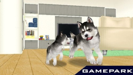 Petz: My Puppy Family (PSP)