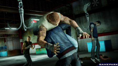 Sleeping Dogs (PS3)