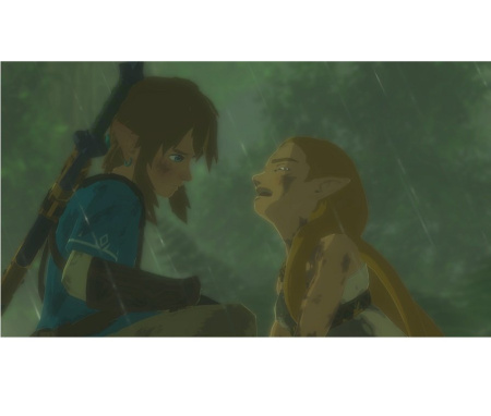 The Legend of Zelda: Breath of the Wild (Switch)