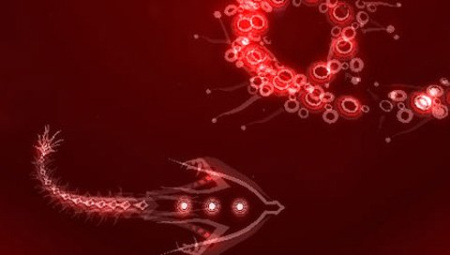 PSN Collection: Power Pack(PSP)