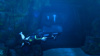 Tomb Raider: Underworld (PS3)