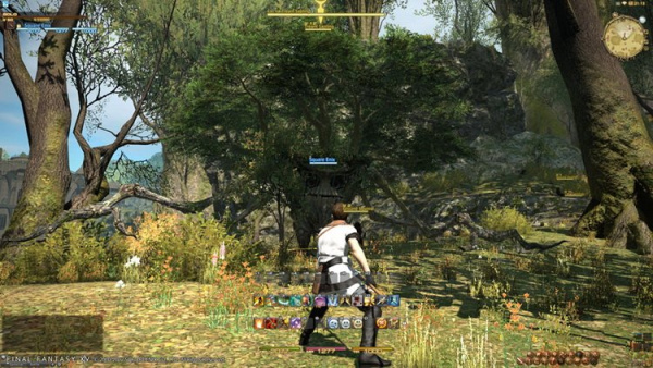 Final Fantasy XIV Online: A Realm Reborn (PS3)