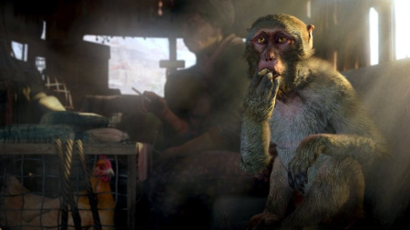 Far Cry 3 + Far Cry 4 (PS3)
