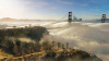 Watch_Dogs 2. Deluxe Edition (XboxOne)