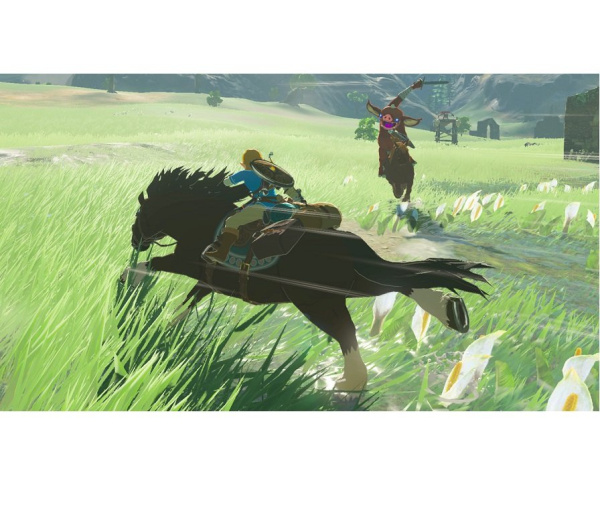 The Legend of Zelda: Breath of the Wild Ограниченное издание (Switch)