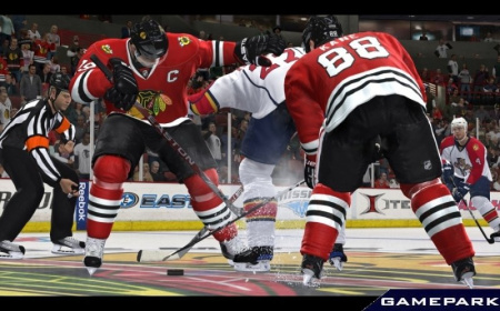 NHL 13 (PS3)