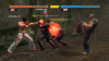 Fighting Edition (PS3)