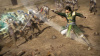 Dynasty Warriors 9: Empires (PS5)