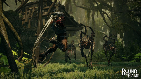 Bound by Flame (PS3)
