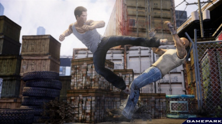 Sleeping Dogs (PS3)